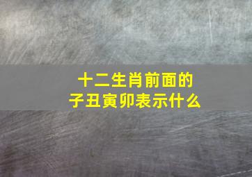 十二生肖前面的子丑寅卯表示什么