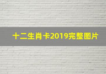 十二生肖卡2019完整图片