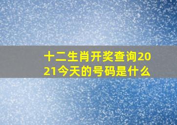 十二生肖开奖查询2021今天的号码是什么