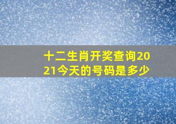 十二生肖开奖查询2021今天的号码是多少