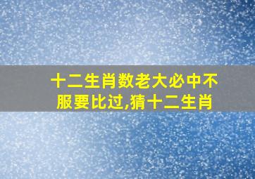 十二生肖数老大必中不服要比过,猜十二生肖