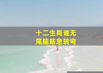 十二生肖谁无尾脑筋急转弯