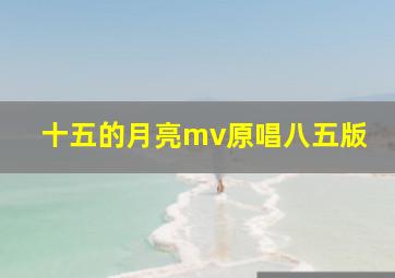 十五的月亮mv原唱八五版