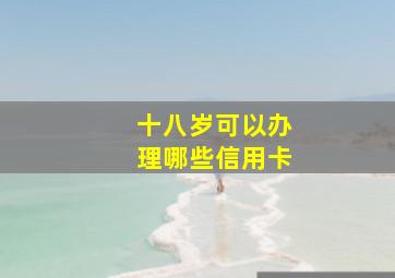 十八岁可以办理哪些信用卡