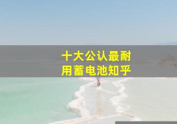 十大公认最耐用蓄电池知乎