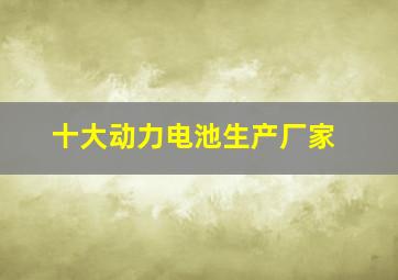 十大动力电池生产厂家