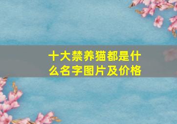 十大禁养猫都是什么名字图片及价格