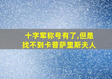 十字军称号有了,但是找不到卡普萨里斯夫人