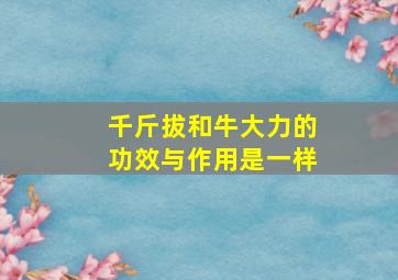 千斤拔和牛大力的功效与作用是一样