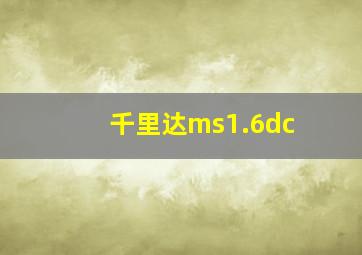 千里达ms1.6dc