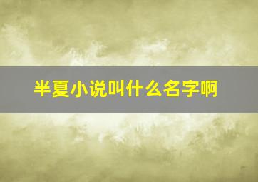 半夏小说叫什么名字啊