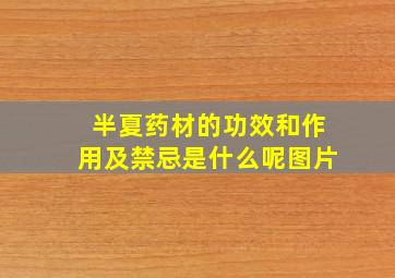 半夏药材的功效和作用及禁忌是什么呢图片