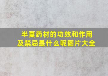 半夏药材的功效和作用及禁忌是什么呢图片大全