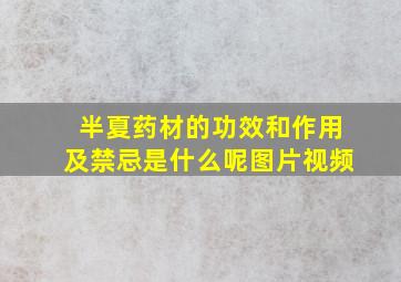 半夏药材的功效和作用及禁忌是什么呢图片视频