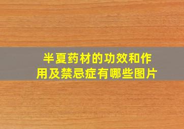 半夏药材的功效和作用及禁忌症有哪些图片