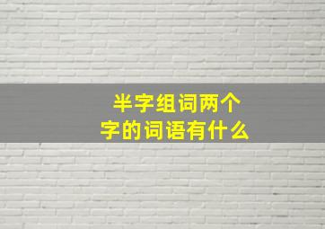 半字组词两个字的词语有什么