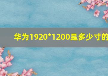 华为1920*1200是多少寸的