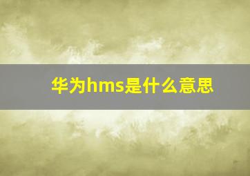 华为hms是什么意思