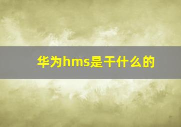 华为hms是干什么的