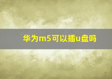 华为m5可以插u盘吗