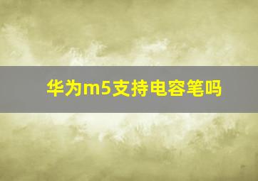 华为m5支持电容笔吗