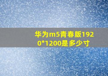 华为m5青春版1920*1200是多少寸