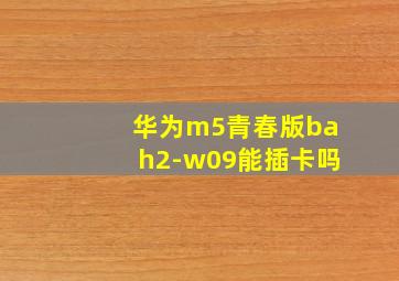 华为m5青春版bah2-w09能插卡吗