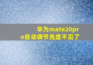 华为mate20pro自动调节亮度不见了