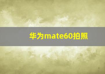 华为mate60拍照