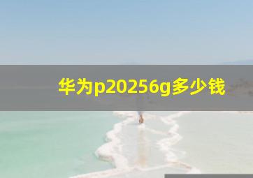 华为p20256g多少钱