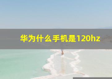 华为什么手机是120hz