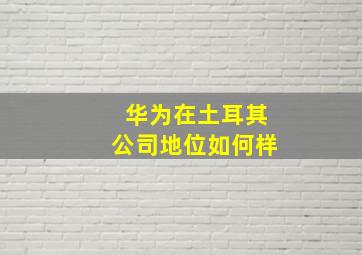 华为在土耳其公司地位如何样