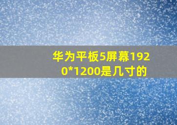 华为平板5屏幕1920*1200是几寸的