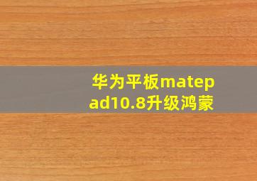 华为平板matepad10.8升级鸿蒙