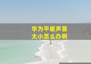 华为平板声音太小怎么办啊