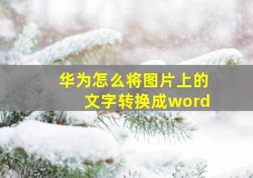 华为怎么将图片上的文字转换成word