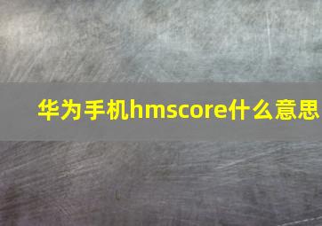 华为手机hmscore什么意思