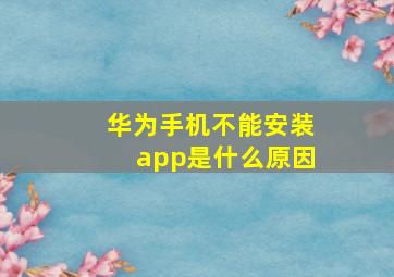 华为手机不能安装app是什么原因