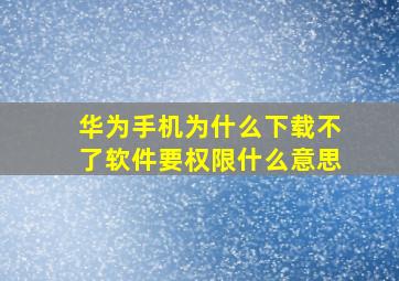 华为手机为什么下载不了软件要权限什么意思