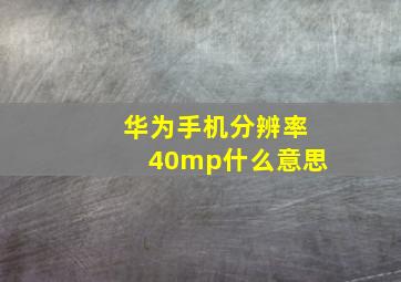 华为手机分辨率40mp什么意思