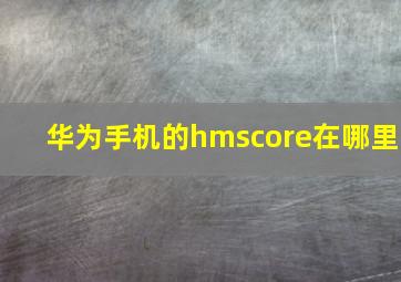 华为手机的hmscore在哪里