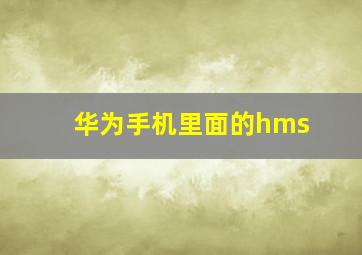 华为手机里面的hms