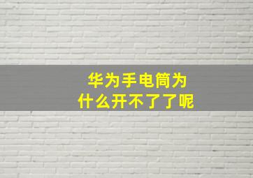 华为手电筒为什么开不了了呢