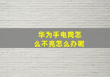 华为手电筒怎么不亮怎么办呢