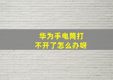 华为手电筒打不开了怎么办呀