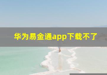 华为易金通app下载不了