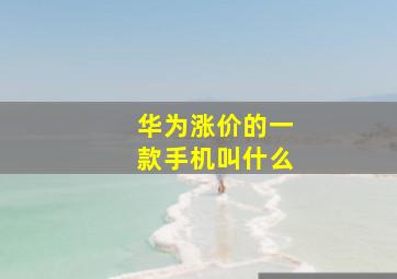 华为涨价的一款手机叫什么