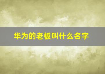 华为的老板叫什么名字