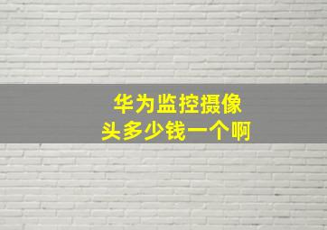 华为监控摄像头多少钱一个啊