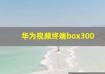 华为视频终端box300